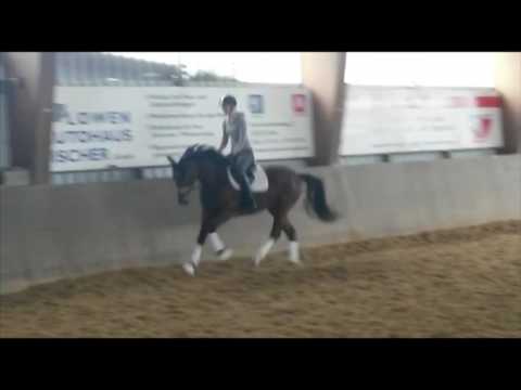 Lotte *2014 Londontime-Prince Thatch xx