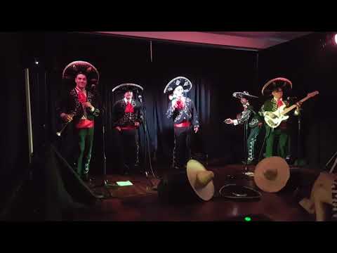 The Three Amigos +1 Cayman  Mexican Mariachi Band Australia