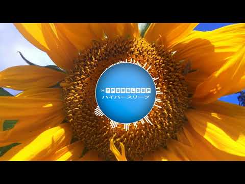 Hyp3rsleep - Bloom