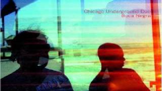 Chicago Underground Duo - Green Ants