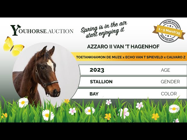 Azzaro II van’t Hagenhof