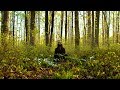 Avi Kaplan Otherside Official Music Video