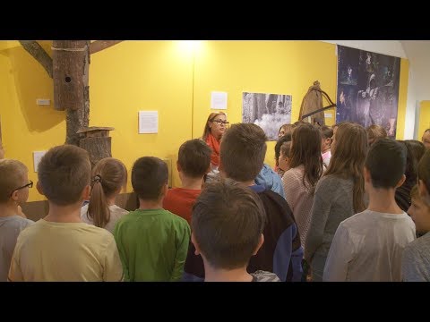 Kanizsa TV Híradó - 2017. szeptember 19.