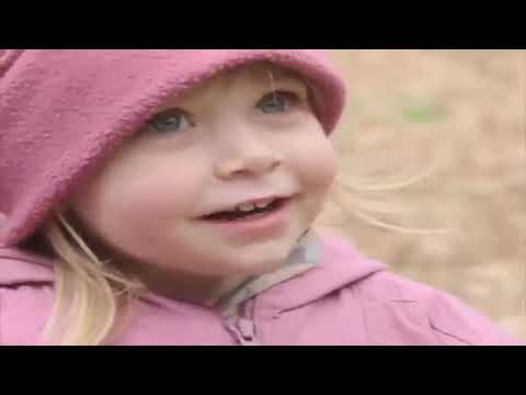 Teletubbies: Series 1: Walking in the Woods