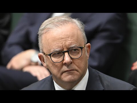 ‘People should be concerned’: Albanese government allowed 400,000 migrants in three years