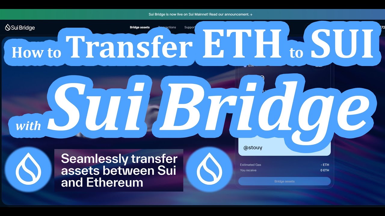 Sui Bridge Tutorial (How to Transfer Ethereum to Sui Blockchain)