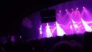 fat freddy's drop black bird