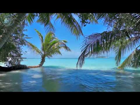 Olas del Paraíso - Playa Hermosa con Sonidos Relajantes del Mar sin Música