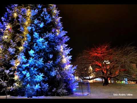 «Nosalušais sunītis»