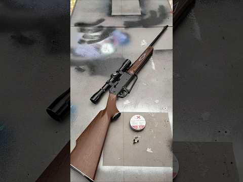 Daisy Powerline 880: The Ultimate Test