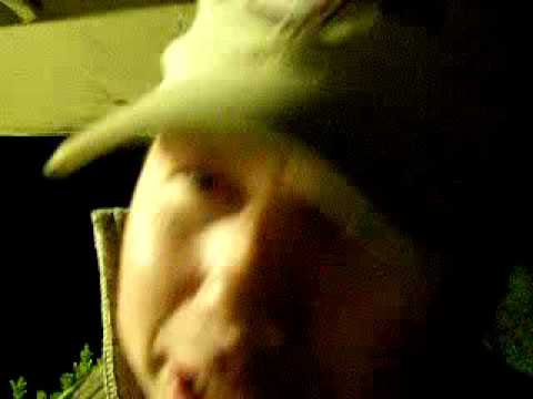 Sebuzín 2009 - intelektuální nóta