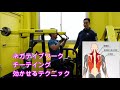 プルダウンマシーン 絞り込みでも伸展部分でもよく効きます
