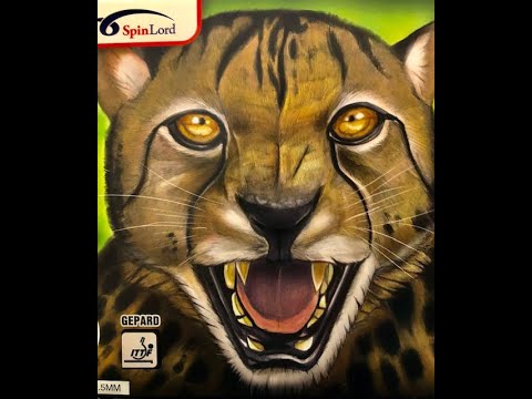 What's Missing From SpinLord Gepard Short Pips?