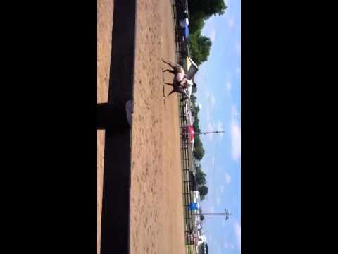 Merrie's gets second place - fair 2012