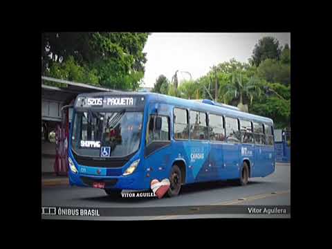 Onibus do Rio Grande do Sul a Pedido do @King_Bus_Belém_ofc