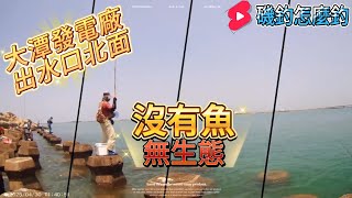 大潭出水口北面  竟然烏魚不見了  整海空蕩蕩無生態