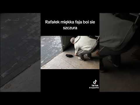 Rafałek miękka faja boi się szczura