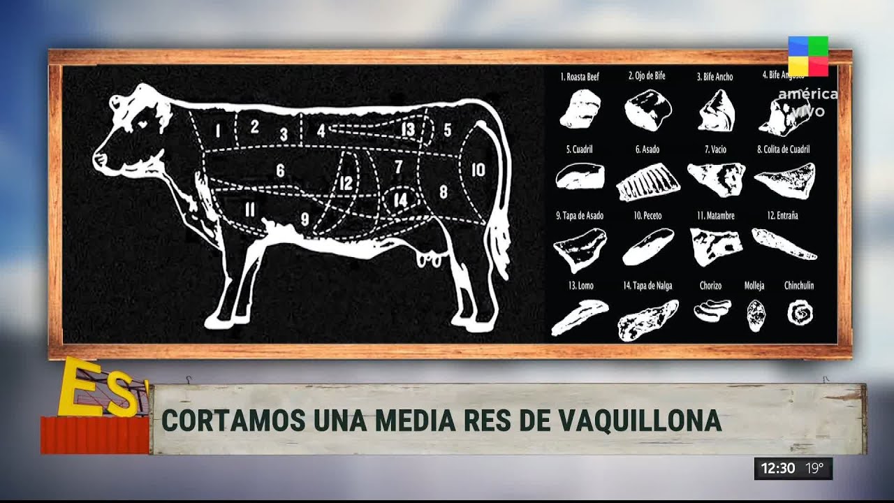 Watch ¡Masterclass de cortes de carne para cuando vayas a la carnicería! 🐄 Now ¡Masterclass de cortes de carne para cuando vayas a la carnicería! 🐄