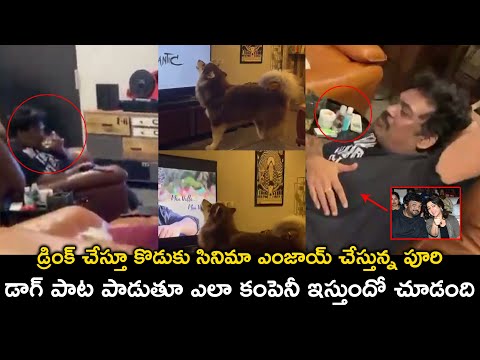 Actress Charmmekaur Dog Singing Video || Puri Jagannadh || iCrazy Media