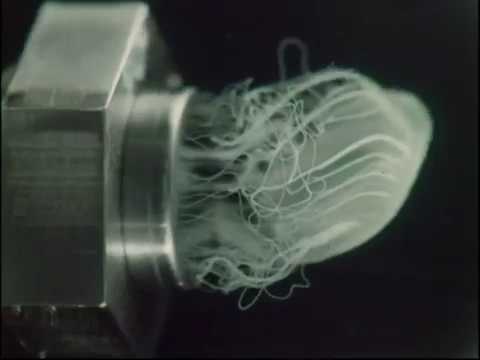 Twice As Much – The Spinning Wheel | The Four Elements (1966)