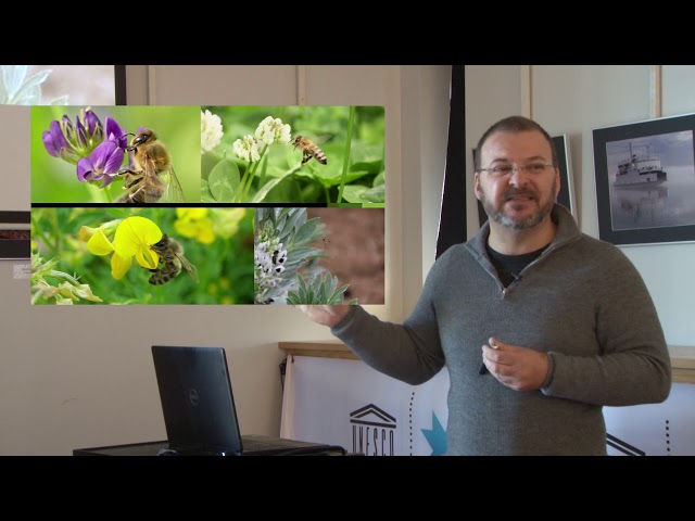 Conférence – L’abeille avec Jean-Marc Lavoie