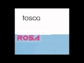 Tosca - Rosa (Rodney Hunter remix)