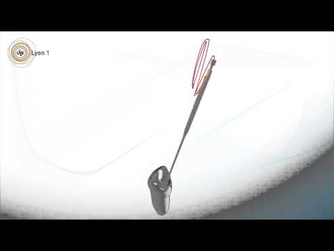 download lagu mp3 mp4 Foret Gates, download lagu Foret Gates gratis, unduh video klip Foret Gates