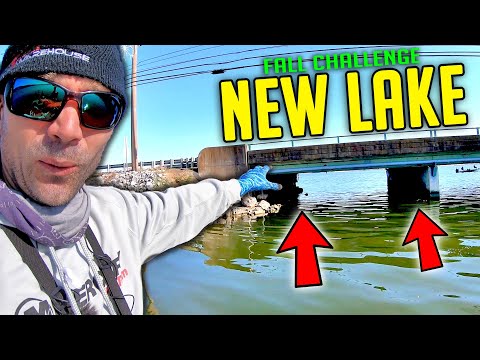How to Find FISH + Catch Fish in FALL (NEW Lake Challenge)
