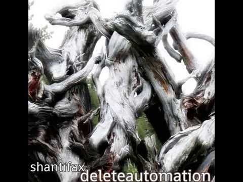 Shantifax & Tommy Mirror - Desert Trip