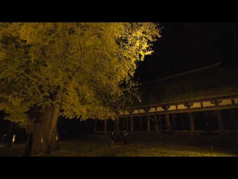 新宮熊野神社長床ライトアップ（喜多方市）