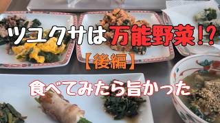 ツユクサを食べたら旨かった　家庭料理簡単レシピ（後編）