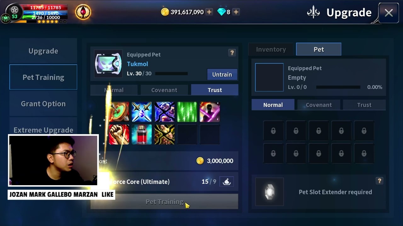 Cabal M | Option Upgrade Pet