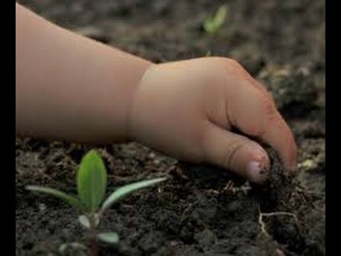 Tv7 con Voi sera del 17/02/2015 - Giovani in Agricoltura (4 di 6)