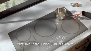 Monogram Monogram 36" Induction Cooktop Silver ZHU36RSPSS Picture