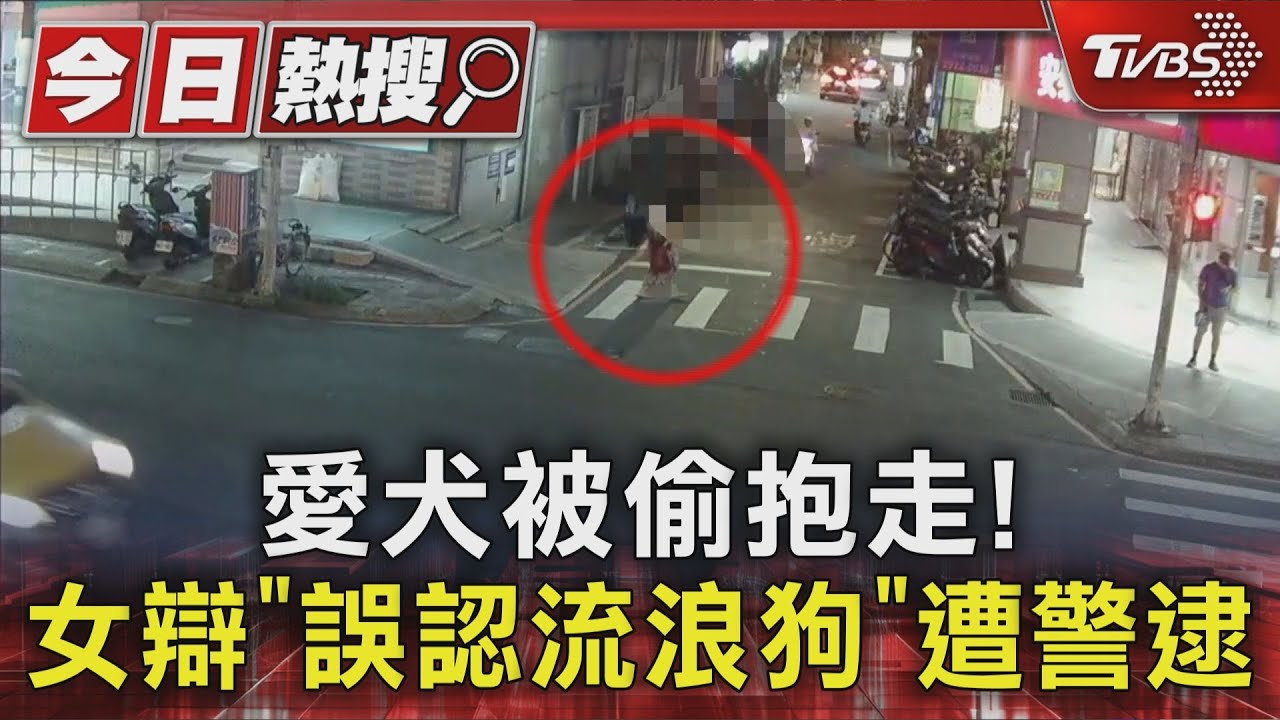 愛犬被偷抱走!女辯「誤認流浪狗」遭警逮