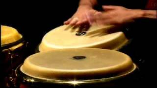 Rakitha Conga Solo - LP : Latin Percussion