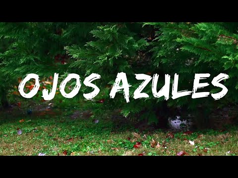 BLESSD x PESO PLUMA x SOG - OJOS AZULES