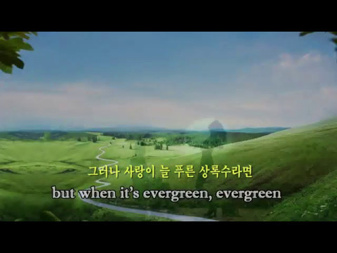 download lagu mp3 mp4 Evergreen Translate, download lagu Evergreen Translate gratis, unduh video klip Evergreen Translate
