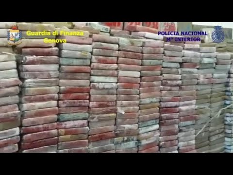 Kokain für 500 Millionen Euro beschlagnahmt
