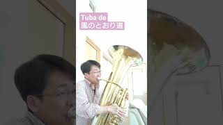 Download lagu Tuba de 風のとおり道(久石譲) mp3 Download lagu Tuba de 風のとおり道(久石譲) mp3