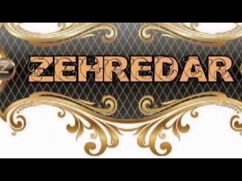 Zehredar - Gönül Yarası (2013)