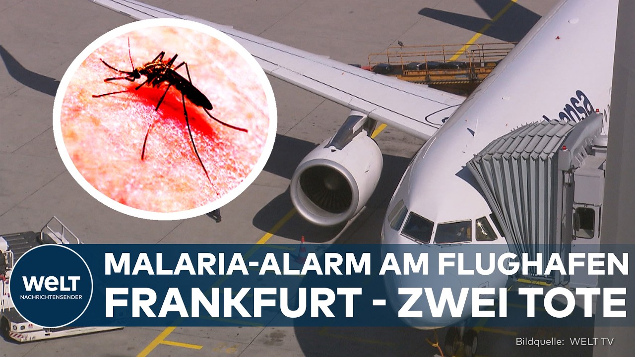 FLUGHAFEN FRANKFURT: Zwei Malaria Tote und weitere Erkrankte! RKI klärt auf