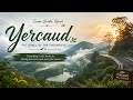 Green Therapy Mountain Mist Pure Happiness ️ StrawbeariesLifediaries Shortfeed Yercaud