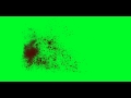 Blood Splat 02 Green Screen Chroma Key Effects AAE