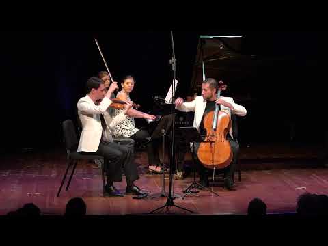 Haydn - Piano Trio in F sharp minor