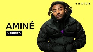 Aminé &quot;DR. WHOEVER&quot; Official Lyrics &amp; Meaning | Verified