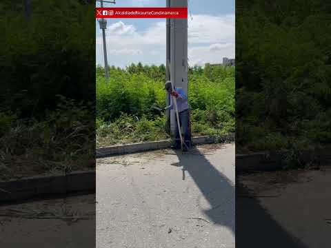 #limpieza y poda hacen los obreros en RICAURTE CUNDINAMARCA para ver más bonito el municipio