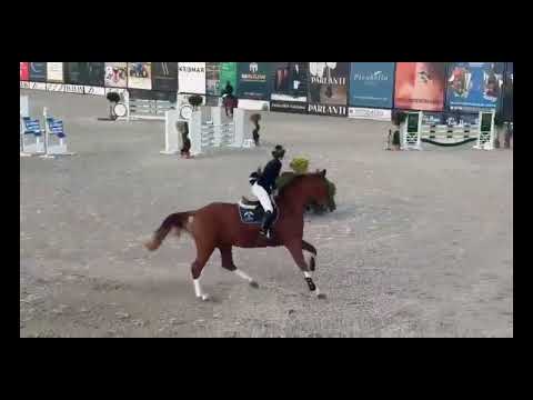 Noble Zoya Azelhof 5yrs class CLEAR