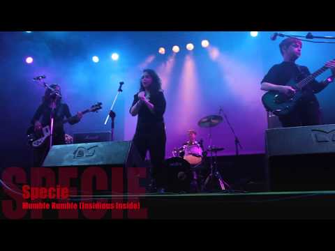 MUMBLE RUMBLE Specie - 2019 live @ Estragon ( Bologna)