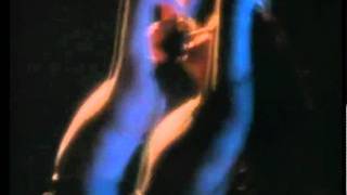 Stevie Nicks on Eagles, Kate Bush and Pat Benatar